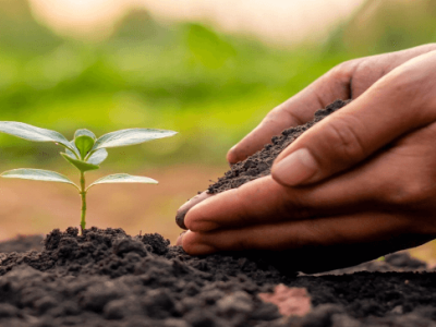 El efecto de mejora del ácido húmico en el suelo - efecto físico