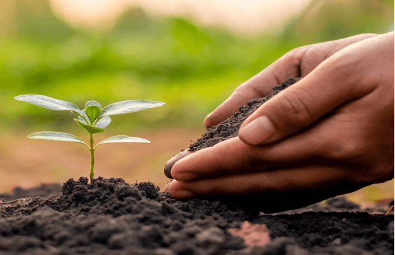 El efecto de mejora del ácido húmico en el suelo - efecto físico.jpg El efecto de mejora del ácido húmico en el suelo - efecto físico.jpg