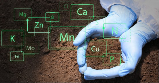 El efecto de mejora del ácido húmico en el suelo - efecto químico.jpg