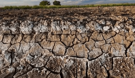 Tierra salino-alcalina.jpg