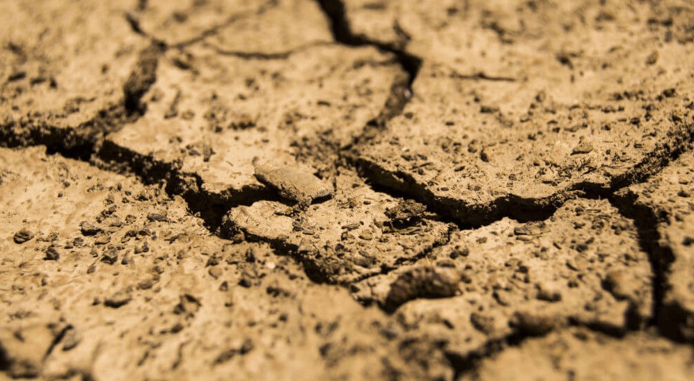 Suelo acidificado.jpg