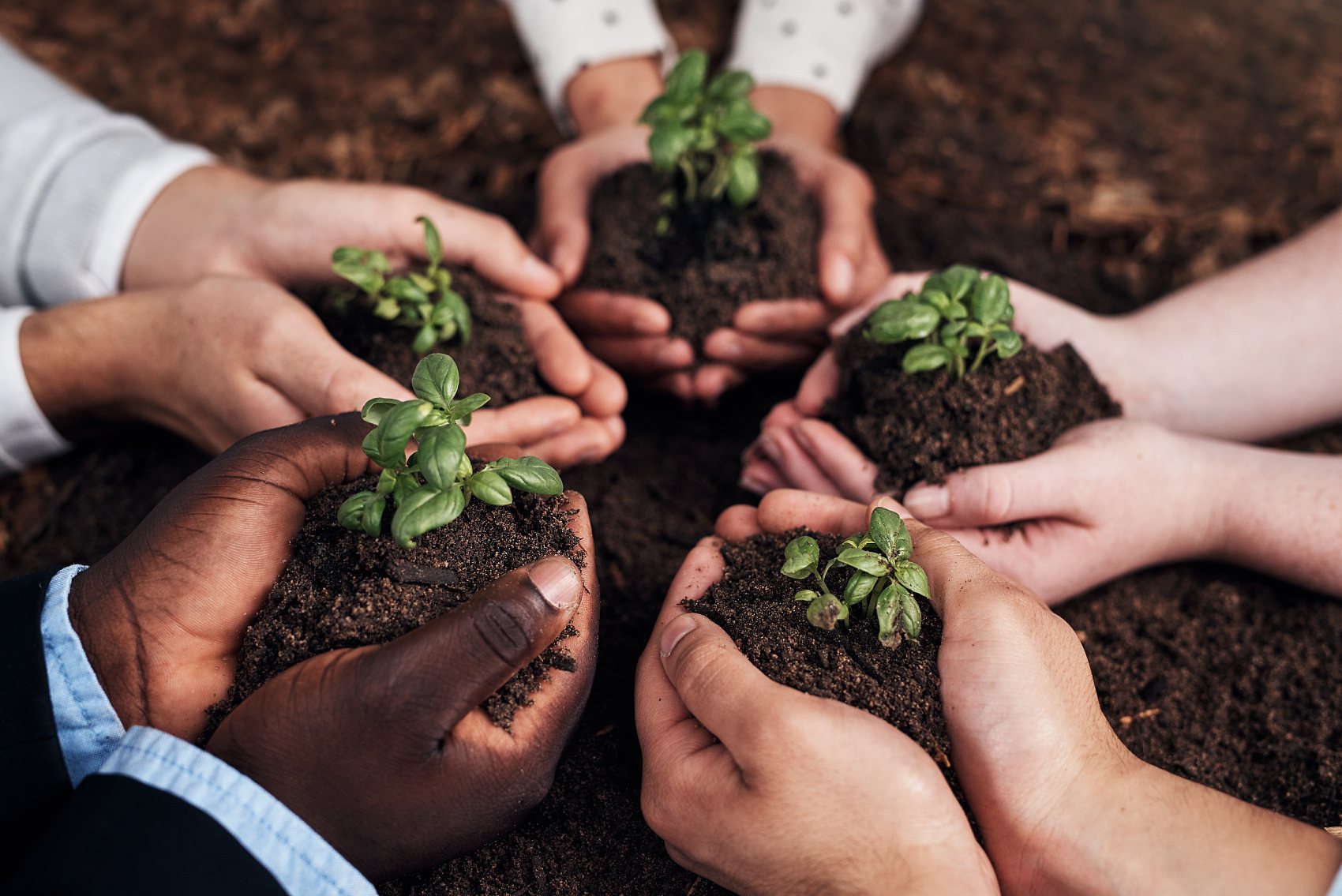 Las ocho funciones y cinco efectos del ácido fúlvico, fuente mineral.jpg