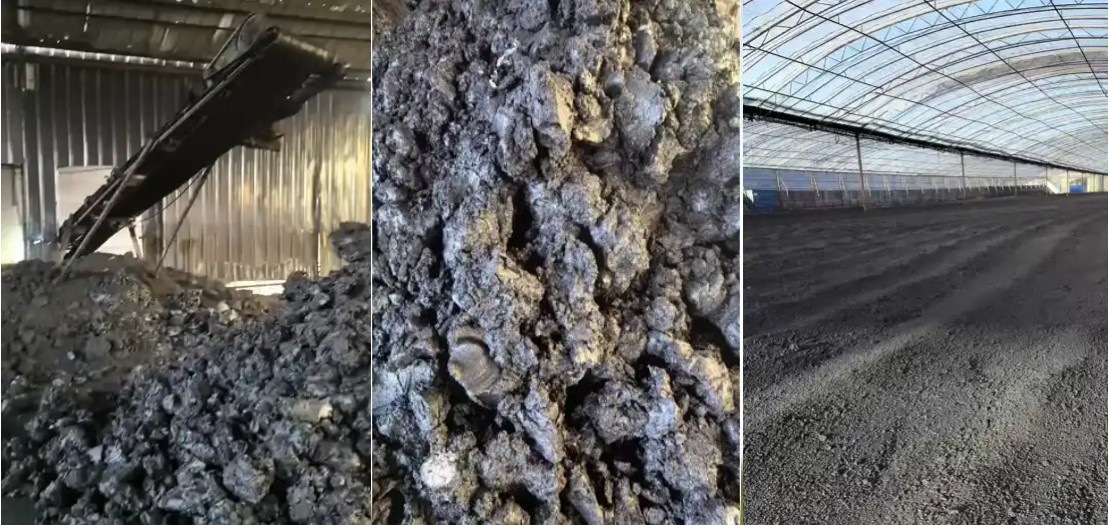 Proceso de producción.jpg