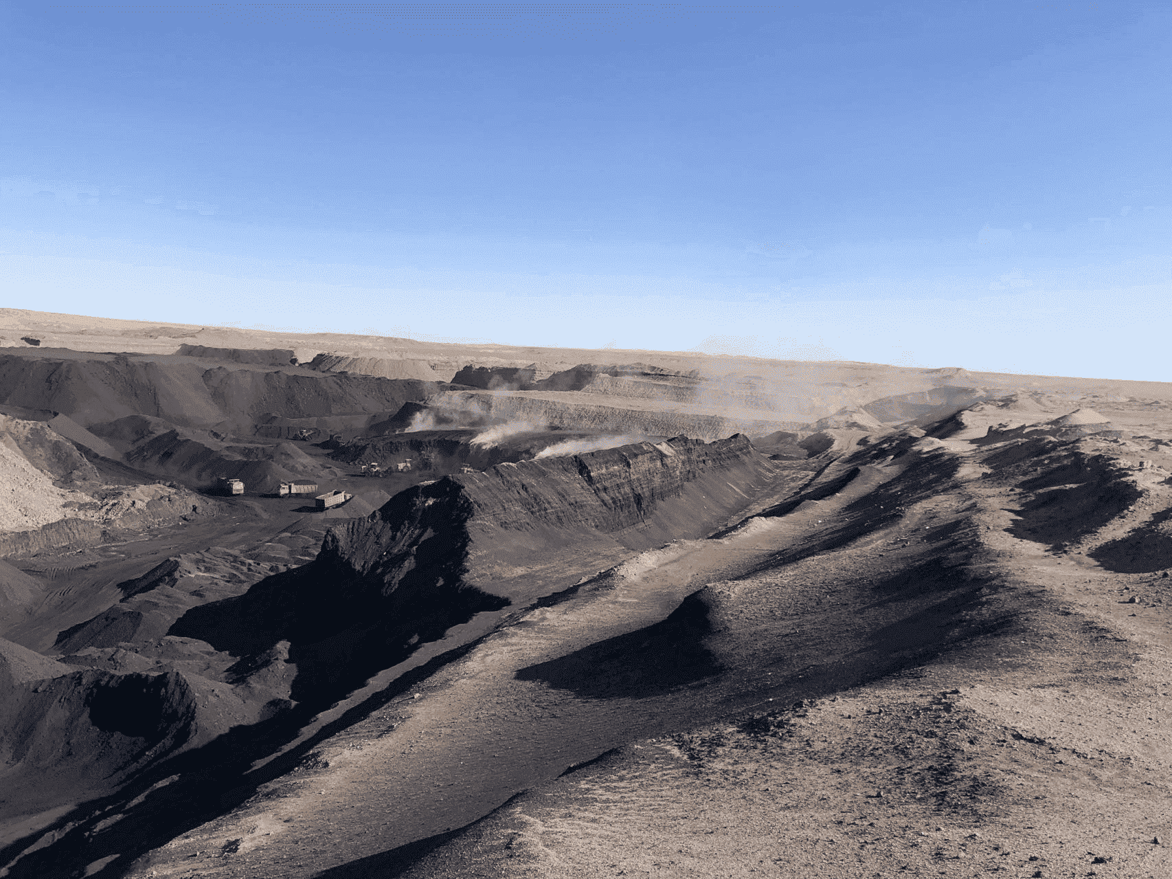 Usos de ácido húmico en plantas.jpg