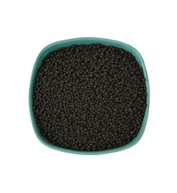 Ácido húmico para alimentación de césped para plantas.jpg