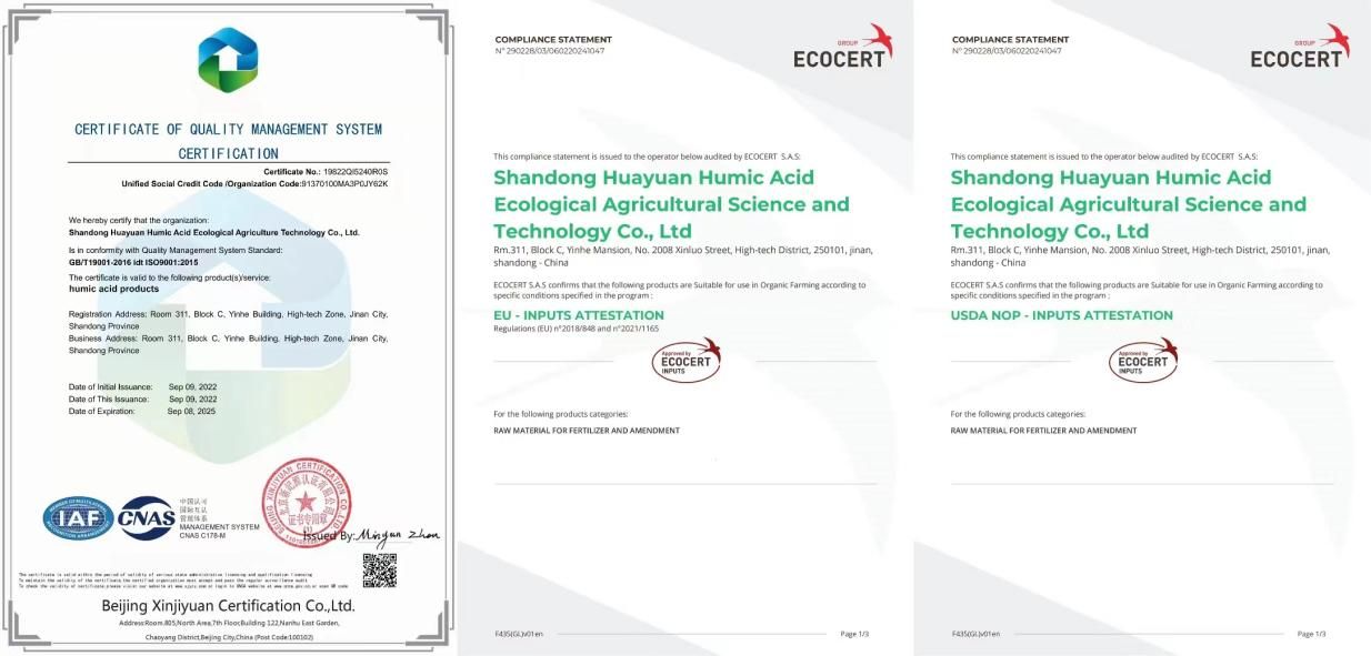 Agricultura Ácido Húmico.jpg